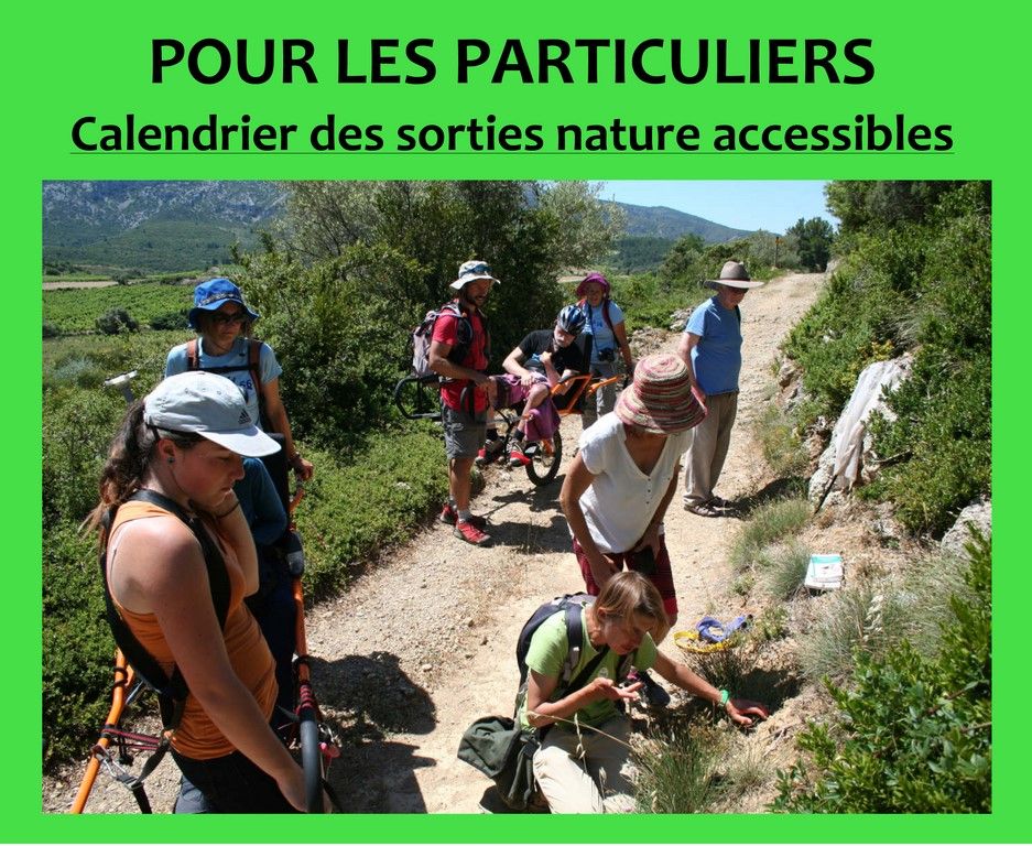 Accès aux sorties nature du département des Pyrénées-Orientales pour les personnes à mobilité réduite et pour les personnes non voyantes